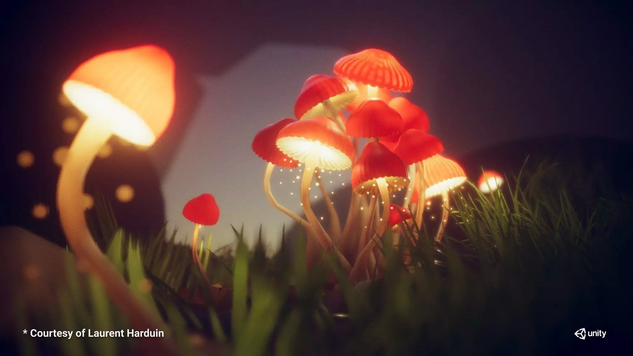 * Courtesy of Laurent Harduin
 