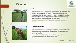 Weeding
Time: Weeding with a mechanical weeder takes 16-25 hrs per acre.
Farmers normally weed 2-3 times. A one-time suppl...