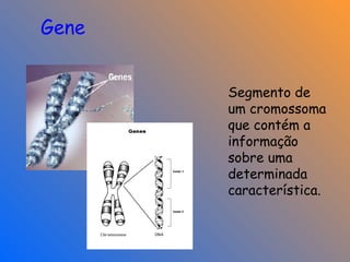 Segmento de
um cromossoma
que contém a
informação
sobre uma
determinada
característica.
Gene
 