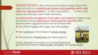 AGROECOLOGY is the science and practice of agriculture that
relies primarily on mobilizing processes and potentials which ...