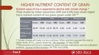 HIGHER NUTRIENT CONTENT OF GRAIN
Nutrient value of rice is expected to decline with climate change *
Three studies by Indi...