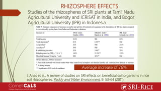 Studies of the rhizospheres of SRI plants at Tamil Nadu
Agricultural University and ICRISAT in India, and Bogor
Agricultur...