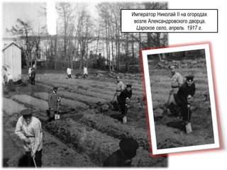 Император Николай II на огородах
возле Александровского дворца.
Царское село, апрель 1917 г.
 
