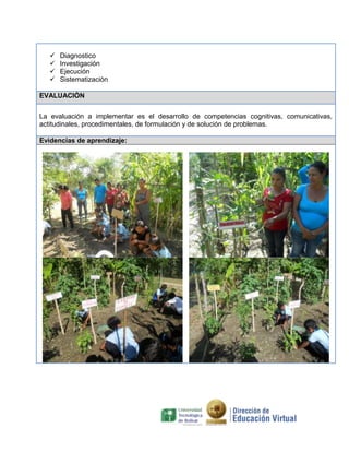  Diagnostico
 Investigación
 Ejecución
 Sistematización
EVALUACIÓN
La evaluación a implementar es el desarrollo de competencias cognitivas, comunicativas,
actitudinales, procedimentales, de formulación y de solución de problemas.
Evidencias de aprendizaje:
 
