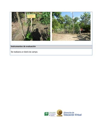 Instrumentos de evaluación
Se realizara un diario de campo.
 