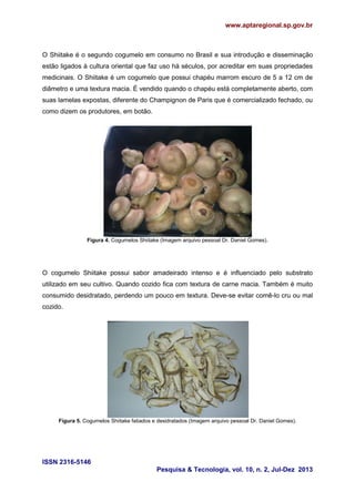 www.aptaregional.sp.gov.br
ISSN 2316-5146
Pesquisa & Tecnologia, vol. 10, n. 2, Jul-Dez 2013
O Shiitake é o segundo cogumelo em consumo no Brasil e sua introdução e disseminação
estão ligados à cultura oriental que faz uso há séculos, por acreditar em suas propriedades
medicinais. O Shiitake é um cogumelo que possui chapéu marrom escuro de 5 a 12 cm de
diâmetro e uma textura macia. É vendido quando o chapéu está completamente aberto, com
suas lamelas expostas, diferente do Champignon de Paris que é comercializado fechado, ou
como dizem os produtores, em botão.
Figura 4. Cogumelos Shiitake (Imagem arquivo pessoal Dr. Daniel Gomes).
O cogumelo Shiitake possui sabor amadeirado intenso e é influenciado pelo substrato
utilizado em seu cultivo. Quando cozido fica com textura de carne macia. Também é muito
consumido desidratado, perdendo um pouco em textura. Deve-se evitar comê-lo cru ou mal
cozido.
Figura 5. Cogumelos Shiitake fatiados e desidratados (Imagem arquivo pessoal Dr. Daniel Gomes).
 