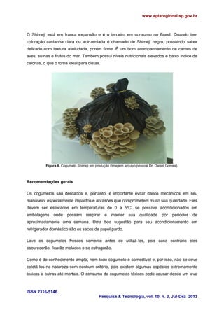 www.aptaregional.sp.gov.br
ISSN 2316-5146
Pesquisa & Tecnologia, vol. 10, n. 2, Jul-Dez 2013
O Shimeji está em franca expansão e é o terceiro em consumo no Brasil. Quando tem
coloração castanha clara ou acinzentada é chamado de Shimeji negro, possuindo sabor
delicado com textura aveludada, porém firme. É um bom acompanhamento de carnes de
aves, suínas e frutos do mar. Também possui níveis nutricionais elevados e baixo índice de
calorias, o que o torna ideal para dietas.
Figura 6. Cogumelo Shimeji em produção (Imagem arquivo pessoal Dr. Daniel Gomes).
Recomendações gerais
Os cogumelos são delicados e, portanto, é importante evitar danos mecânicos em seu
manuseio, especialmente impactos e abrasões que comprometem muito sua qualidade. Eles
devem ser estocados em temperaturas de 0 a 5ºC, se possível acondicionados em
embalagens onde possam respirar e manter sua qualidade por períodos de
aproximadamente uma semana. Uma boa sugestão para seu acondicionamento em
refrigerador doméstico são os sacos de papel pardo.
Lave os cogumelos frescos somente antes de utilizá-los, pois caso contrário eles
escurecerão, ficarão melados e se estragarão.
Como é de conhecimento amplo, nem todo cogumelo é comestível e, por isso, não se deve
coletá-los na natureza sem nenhum critério, pois existem algumas espécies extremamente
tóxicas e outras até mortais. O consumo de cogumelos tóxicos pode causar desde um leve
 