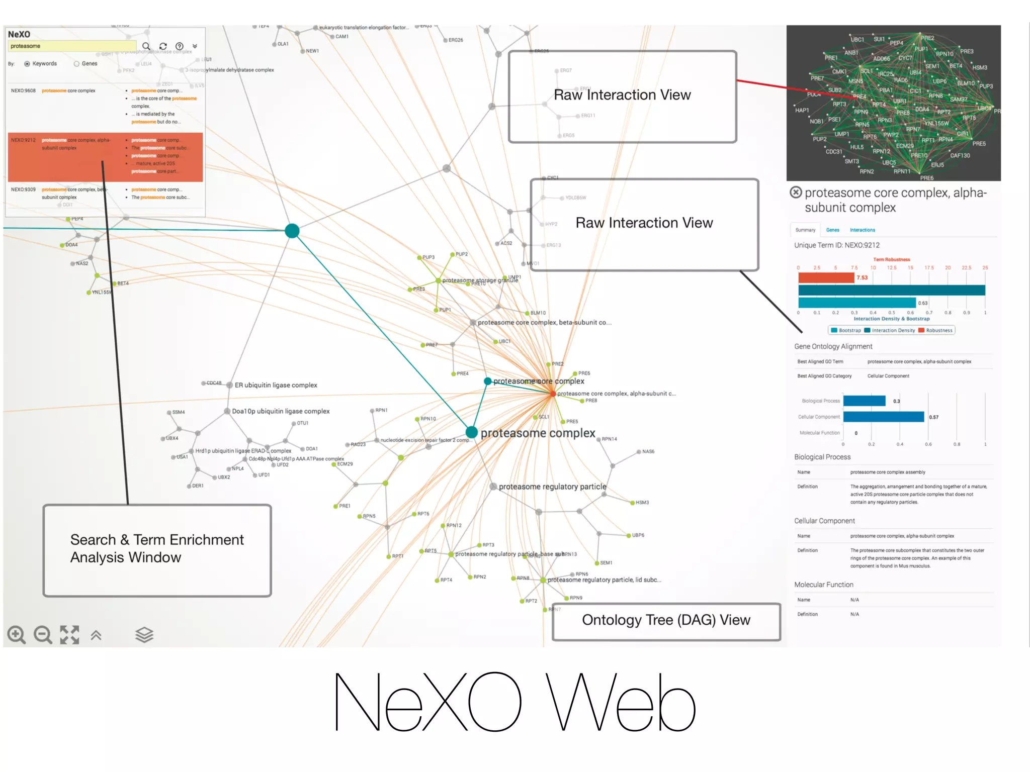NeXO Web
 