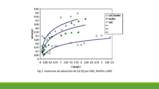 Fig 1. Isotermas de adsorción de Cd (ll) por GAC, Biofilm y BAC
 