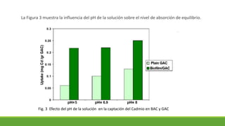 La Figura 3 muestra la influencia del pH de la solución sobre el nivel de absorción de equilibrio.
Fig. 3 Efecto del pH de la solución en la captación del Cadmio en BAC y GAC
 