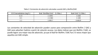Las constantes de velocidad de adsorción pueden usarse para comparación entre Biofilm / GAC y
GAC para adsorber Cadmio a partir de solución acuosa. Los datos indican que con Biofilm / GAC, se
puede lograr una mayor tasa de adsorción, ya que el Kad for Biofilm / GAC fue 2-3 veces mayor que
aquellos con GAC simple.
Tabla 2: Constantes de adsorción calculadas usando GAC y Biofilm/GAC
 