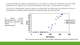 La concentración de cadmio normalizada (Ce / Ci) frente al número de volúmenes de lecho (BV)
tratados para 0,5 mgCd / L por la columna de Biofilm / GAC a pH = 7 se presentan en la figura 5.
Esta curva se denominará curva de ruptura. La eliminación de Cadmio por una columna de GAC se
incrementó en un 400% cuando el biofilm se inmovilizó sobre partículas de GAC.
Fig.5 Curva de ruptura para 0.5 mg/L de Cd(ll) a diferentes tiempos de contacto y pH=7
La ruptura ocurrió
aproximadamente a 45, 85 y
180 BV para columnas GAC,
Biofilm y BAC
respectivamente.
 