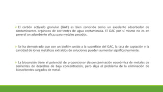  El carbón activado granular (GAC) es bien conocido como un excelente adsorbedor de
contaminantes orgánicos de corrientes de agua contaminada. El GAC por sí mismo no es en
general un adsorbente eficaz para metales pesados.
 Se ha demostrado que con un biofilm unido a la superficie del GAC, la tasa de captación y la
cantidad de iones metálicos extraídos de soluciones pueden aumentar significativamente.
 La biosorción tiene el potencial de proporcionar descontaminación económica de metales de
corrientes de desechos de baja concentración, pero deja el problema de la eliminación de
biosorbentes cargados de metal.
 
