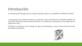 Introducción
La contaminación del agua por los metales pesados tóxicos es un problema ambiental mundial.
Las descargas que contienen cadmio, en particular, están estrictamente controladas debido a la
naturaleza altamente tóxica de este elemento y su tendencia a acumularse en los tejidos de los
organismos vivos.
El cadmio se introduce en los cuerpos de agua muy fácilmente y como consecuencia de ciertas
actividades industriales.
 