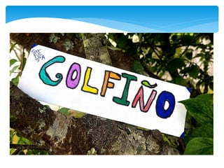 19 20 let gal recom palabras