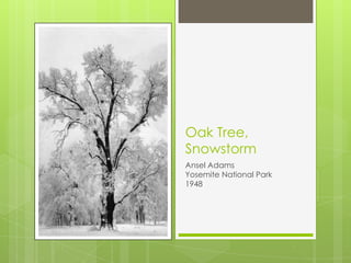 Oak Tree, SnowstormAnsel AdamsYosemite National Park1948