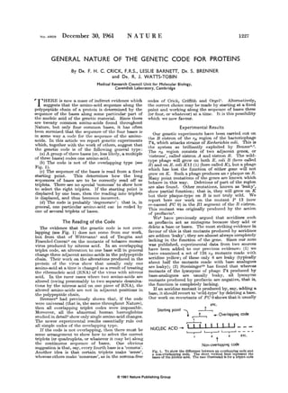 © 1961 Nature Publishing Group
No. 4B09 December 30, 1961 NATURE 1227
GENERAL NATURE OF THE GENETIC CODE FOR PROTEINS
By DR. F. H. C. CRICK, F.R.S., LESLIE BARNETr, DR. S. BRENNER
and DR. R. J. WAITS-TOBIN
Medical Research _Council Unit for Molecular Biology,
Cavend1sh Laboratory, Cambridge
T HERE is now a mass of indirect evidence which
sug~sts that the amino-acid sequence along the
polypeptide chain of a protein is determined by the
sequence _of t~e bases along some particular part of
the nucleic a01d of the genetic material. Since there
are twenty common amino-acids fomtd throughout
Nature, b';lt only four common bases, it has often
?een surmised that the sequence of the four bases is
m some way a code for the sequence of the amino-
acids. In this article we report genetic experiments
which, to~ether wi~h the work of others, suggest that
the genetlC code IS of the following general type:
(a) A group of three bases (or, less likely, a multiple
of three bases) codes one amino-acid.
.(b) The code is not of the overlapping type (see
Fig. 1).
(c) The sequence of the bases is read from a :fixed
starting point. This determines how the long
sequences of bases are to be correctly read off as
triplets. There are no special 'commas' to show how
t~ select the right triplets. If the starting point is
~sp!aced by one base, then the reading into triplets
IS displaced, and thus becomes incorrect.
(d) The code is probably 'degenerato'; that is, in
general, one particular amino-acid can be coded by
one of several triplets of bases.
The Reading of the Code
The evidence that the genetic code is not over-
lapping (see Fig. 1) does not come from our work,
but from that of Wittmann1 and of Tsugita and
Fraenkel-Conrat2
on the mutants of tobacco mosaic
vi~s produced by nitrous acid. In an overlapping
triplet code, an alteration to one base will in general
cha?ge thre.e adjacent amino-acids in the polypeptide
cham. Their work on the alterations produced in the
protein of the virus show that usually only one
amin?·acid a~ a ti:z_ne is changed as a result of treating
the nbonucleic acid (RNA) of the virus with nitrous
acid. In the rarer cases where two amino-acids are
a!tered (owing presumably to two separate deamina-
tlons by the mtrous acid on one piece of RNA), the
altered amino-acids are not in adjacent positions in
the polypeptide chain.
Brenner• had previously shown that, if the code
were universal (that is, the same throughout Nature),
then all overlapping triplet codes were impossible.
Moreover, all the abnormal human hmmoglobins
studied in detail• show only single amino-acid changes.
The. newer experimental results essentially rule out
all simple codes of the overlapping type.
If the code is not overlapping, then there must be
some arrangement to show how to select the correct
triplets (~r quadruplets, or whatever it may be) along
the contmuous sequence of bases. One obvious
suggestion is that, say, every fourth base is a 'comma'.
Another idea is that certain triplets make 'sense',
whereas others make 'nonsense', as in the comma-free
codes of Crick, Griffith and OrgeP. Alternatively,
the correct choice may be made by starting at a fixed
point and working along the sequence of bases three
(or four, or whatever) at a time. It is this possibility
which we now favour.
Experimental Results
Our genetic experiments have been carried out on
the B cistron of the ru region of the bacteriophage
T4, which attacks strains of Escherichia coli. This is
the system so brilliantly exploited by Benzer&•7
•
The ru region consists of two adjacent genes, or
'cistrons', called cistron A and cistron B. The wild-
type phage will grow on both E. coli B (here called
B) and on E. coli Kl2 (:A) (here called K), but a phage
which has lost the function of either gene will not
grow on K. Such a phage produces an 1" plaque on B.
Many point mutation.<> of the genes are known which
behave in this way. Deletions of part of the region
are also found. Other mutations, known as 'leaky',
show partial function; that is, they will grow on K
but their plaque-type on B is not truly wild. We
report here our work on the mutant P 13 (now
re-named FO 0) in the Bl segment of the B cistron.
This mutant was originally produced by the action
of proflavin•.
We• have previously argued that acridines such
as proflavin act as mutagens because they add or
delete a base or bases. The most striking evidence in
favour of this is that mutants produced by acridines
are seldom 'leaky'; they are almost always completely
lacking in the function of the gene. Since our note
was published, experimental data from two sources
have been added to our previous evidence: (I) we
have examined a set of 126 ru mutants made with
acridine yellow; of these only 6 are leaky (typically
about half the mutants made with base analogues
are leaky); (2) Streisinger10 has found that whereas
mutants of the lysozyme of phage T4 produced by
base-analogues are usually leaky, all lysozyme
mutants produced by profiavin are negative, that is,
the function is completely lacking.
If an acridine mutant is produced by, say, adding a.
base, it should revert to 'wild-type' by deleting a base.
Our work on revertants of FO 0 shows that it usually
ETC.
Stortinq point  __L_,
• ....-J-. - Overloppinq code
1
,.....--J---1
NUCLEIC ACID - I I I I I I I - - -
L...-,--J L--r--' l..-.-r--' - - - -
ETC.
Non·overloppinq code
Fig. 1. To show the difference between an overlapping code and
a non-overlapping code. The short vertical Jines represent the
bases of the nucleic acid. The case illustrated Is for a triplet code
 