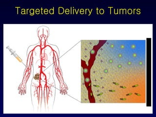 Targeted Delivery to Tumors 