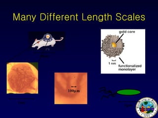 Many Different Length Scales 10cm 1cm 100  m 1  m 