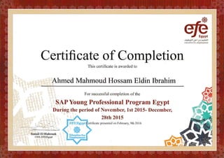 EFE Certificate