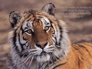 Quand un homme tue un tigre, on
    parle de jeu de chasse.
Quand un tigre tue un homme on
     parle de sauvagerie.
 