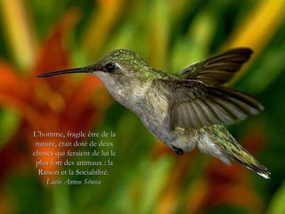 L’homme, fragile être de la
 nature, était doté de deux
choses qui feraient de lui le
 plus fort des animaux : la
  Raison et la Sociabilité.
    Lucio Anneo Séneca
 