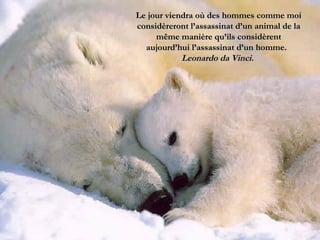 Le jour viendra où des hommes comme moi
considèreront l’assassinat d’un animal de la
     même manière qu’ils considèrent
  aujourd’hui l’assassinat d’un homme.
            Leonardo da Vinci.
 