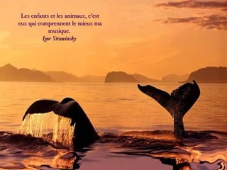 Les enfants et les animaux, c’est
eux qui comprennent le mieux ma
             musique.
          Igor Strawinsky
 