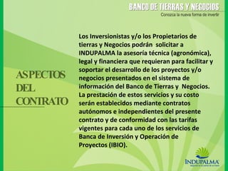Los Inversionistas y/o los Propietarios de tierras y Negocios podrán  solicitar a INDUPALMA la asesoría técnica (agronómica), legal y financiera que requieran para facilitar y soportar el desarrollo de los proyectos y/o negocios presentados en el sistema de información del Banco de Tierras y  Negocios. La prestación de estos servicios y su costo serán establecidos mediante contratos autónomos e independientes del presente contrato y de conformidad con las tarifas vigentes para cada uno de los servicios de Banca de Inversión y Operación de  Proyectos (IBIO).  ASPECTOS DEL  CONTRATO 