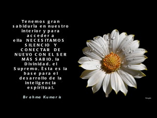 Tenemos gran sabiduría en nuestro interior y para acceder a ella NECESITAMOS SILENCIO Y CONECTAR DE NUEVO CON EL SER MÁS SABIO, la Divinidad, el Supremo, ésta es la base para el desarrollo de la inteligencia espiritual.   Brahma Kumaris 