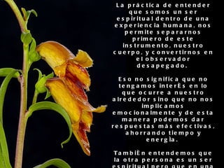 2. Observar desapegado y no absorberse en las situaciones La práctica de entender que somos un ser espiritual dentro de una experiencia humana, nos permite separarnos primero de este instrumento, nuestro cuerpo, y convertirnos en el observador desapegado.  Eso no significa que no tengamos interés en lo que ocurre a nuestro alrededor sino que no nos implicamos emocionalmente y de esta manera podemos dar respuestas más efectivas, ahorrando tiempo y energía.  También entendemos que la otra persona es un ser espiritual pero que en una situación conflictiva ha olvidado quién es y está identificada con algo que no es, y ésa es la causa de su malestar. 