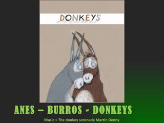 ANES – BURROS - DONKEYS   Music = The donkey serenade Martin Denny 