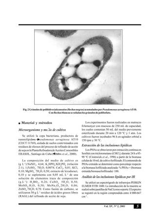 5Vol. XV, Nº 2, 2003
Material y métodos
Microorganismo y medio de cultivo
Se utilizó la cepa bacteriana, productora de
ramnolípidos, Pseudomonas aeruginosa AT10
(CECT 11769), aislada de suelos contaminados con
residuos de oleosos del proceso de refinado de aceite
desojaenlaPlantaRefinadoradeAceitesComestibles
ERASOL, Santiago de Cuba (Ábalos et al., 2000).
La composición del medio de cultivo es
(g L-1
):NaNO3
, 4,64; K2
HPO4
/KH2
PO4
(relación
2:1), 1;FeSO4
. 7H2
O; 0,0074; CaCl2
, 0,01; KCl,
0,10; MgSO4 ·
7H2
O, 0,50; extracto de levaduract,
0,10 y se suplementa con 0,05 mL L-1
de una
solución de elementos traza de composición
(g.L-1
): H3
BO3
, 0,26; CuSO4 ·
5H2
O, 0,50;
MnSO4
.H2
O, 0,50; MoNa2
O4
.2H2
O, 0,06;
ZnSO4
.7H2
O, 0,70. Como fuente de carbono, se
utilizaron 50 g L-1
residuo de ácidos grasos libres
(RAGL) del refinado de aceite de soja.
Los experimentos fueron realizados en matraces
Erlemenyer con muescas de 250 mL de capacidad,
los cuales contenían 50 mL del medio previemente
esterilizado durante 20 min a 120 °C y 1 atm. Los
cultivos fueron incubados 96 h en agitador orbital a
150 rpm y 30 °C.
Extracción de las inclusiones lipídicas
LosPHAsseobtuvieronporextraccióncontinuaen
Soxhlet con triclorometano (CHCl3
) durante 24 h a 85-
90 °C (Cromwick et al., 1996) a partir de la biomasa
celularde10mLdecultivoliofilizado.Elcontennidode
PHAs extraído se determinó como porcentaje respecto
alabiomasaliofilizadaanalizada:%PHAs=(biomasa
extraida/biomasaliofilizada)·100.
Análisis de las inclusiones lipídicas por IR
Se utilizó un espectrógrafo de infrarrojos PERKIN
ELMER FITR 1600. La introducción de la muestra se
realizósobrepastillasdeNaClcomosoporte.Elespectro
se registró en la región comprendida entre 4 000-667
cm-1
.
Fig.2Gránulosdepolihidroxialcanoatos(flechasnegras)acumuladosporPseudomonasaeruginosaAT10.
Conflechasblancasseseñalanlosgránulosdepolifosfato.
 