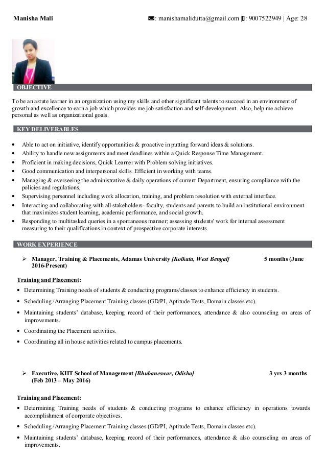 Curriculum vitae examples pdf image