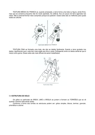 TEXTURA MÉDIA OU FRANCA se, quando amassada, a terra forma uma bola ou figura, ainda firme,
mas que se conserva enquanto não for muito apertada. Ao soltá-Ia. fica um pouco de terra agarrada nas
mãos. Não é possível formar rolos compridos porque se quebram. Esses solos são os melhores para quase
todas as culturas.




    TEXTURA FINA se formada uma bola, ela não se desfaz facilmente, ficando a terra grudada nos
dedos, significando que o solo tem mais argila que limo e areia. Esfregando entre os dedos sente-se que é
macio como goma. Esses solos são mais difíceis de serem trabalhados.




5.4 ESTRUTURA DO SOLO

     Os grãos ou partículas de AREIA, LIMO e ARGILA se juntam e formam os TORRÕES que se vê
quando o terreno está sendo arado.
     Conforme a forma dos torrões as estruturas podem ser: grãos simples, blocos, laminar, granular,
prismática e colunar.
 