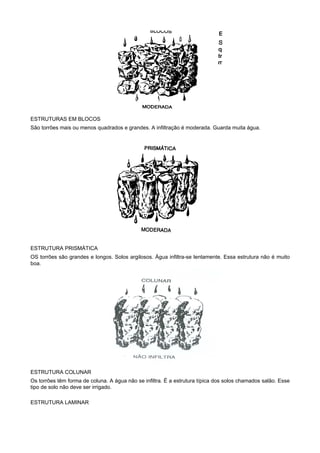 ESTRUTURAS EM BLOCOS
São torrões mais ou menos quadrados e grandes. A infiltração é moderada. Guarda muita água.




ESTRUTURA PRISMÁTICA
OS torrões são grandes e longos. Solos argilosos. Água infiltra-se lentamente. Essa estrutura não é muito
boa.




ESTRUTURA COLUNAR
Os torrões têm forma de coluna. A água não se infiltra. É a estrutura típica dos solos chamados salão. Esse
tipo de solo não deve ser irrigado.

ESTRUTURA LAMINAR
 