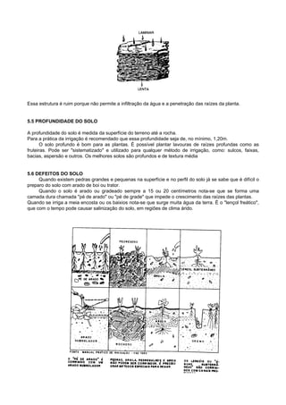 Essa estrutura é ruim porque não permite a infiltração da água e a penetração das raízes da planta.


5.5 PROFUNDIDADE DO SOLO

A profundidade do solo é medida da superfície do terreno até a rocha.
Para a prática da irrigação é recomendado que essa profundidade seja de, no mínimo, 1,20m.
       O solo profundo é bom para as plantas. É possível plantar lavouras de raízes profundas como as
fruteiras. Pode ser "sistematizado" e utilizado para qualquer método de irrigação, como: sulcos, faixas,
bacias, aspersão e outros. Os melhores solos são profundos e de textura média


5.6 DEFEITOS DO SOLO
     Quando existem pedras grandes e pequenas na superfície e no perfil do solo já se sabe que é difícil o
preparo do solo com arado de boi ou trator.
     Quando o solo é arado ou gradeado sempre a 15 ou 20 centímetros nota-se que se forma uma
camada dura chamada "pé de arado" ou "pé de grade" que impede o crescimento das raízes das plantas.
Quando se irriga a meia encosta ou os baixios nota-se que surge muita água da terra. É o "lençol freático",
que com o tempo pode causar salinização do solo, em regiões de clima árido.
 