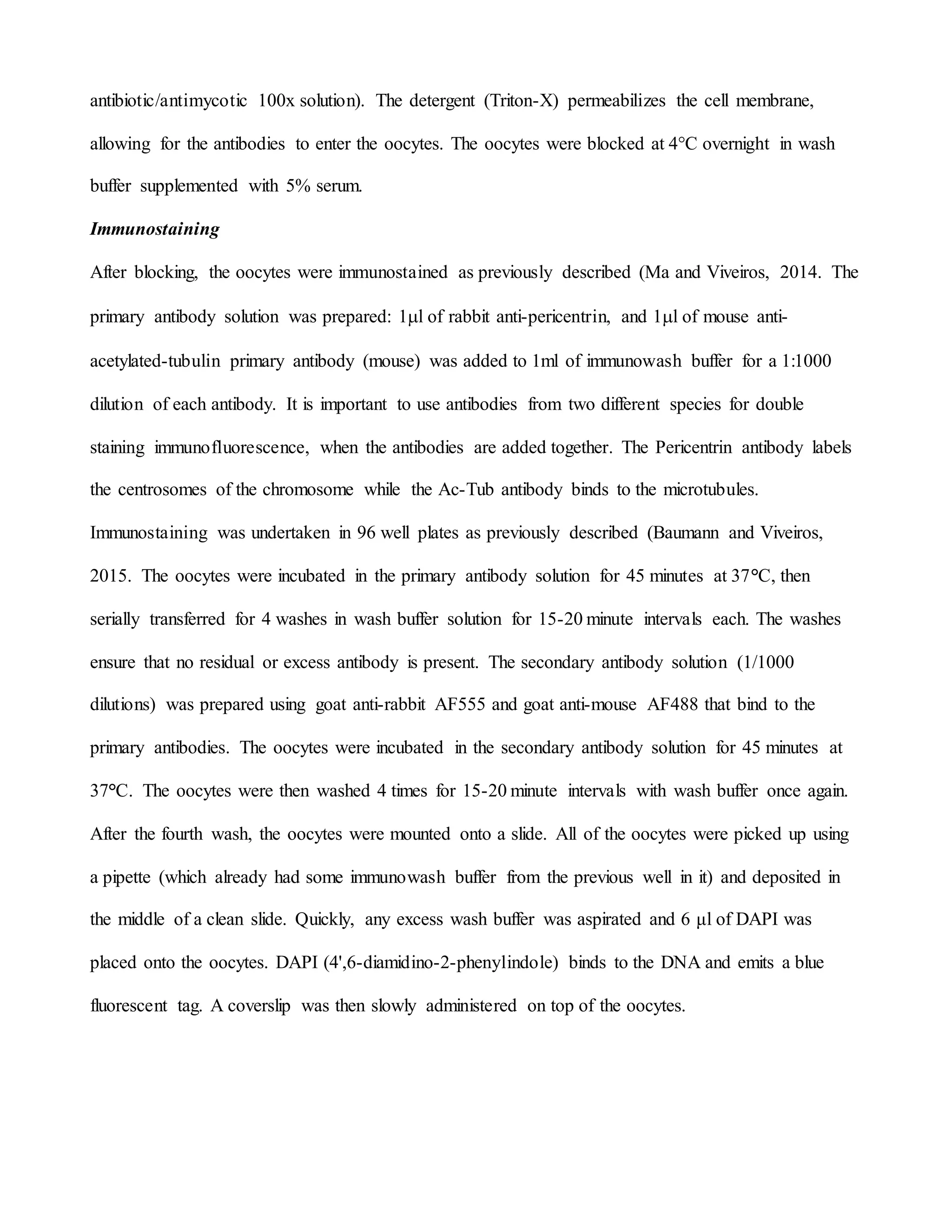 antibiotic/antimycotic 100x solution). The detergent (Triton-X) permeabilizes the cell membrane,
allowing for the antibodies to enter the oocytes. The oocytes were blocked at 4°C overnight in wash
buffer supplemented with 5% serum.
Immunostaining
After blocking, the oocytes were immunostained as previously described (Ma and Viveiros, 2014. The
primary antibody solution was prepared: 1l of rabbit anti-pericentrin, and 1l of mouse anti-
acetylated-tubulin primary antibody (mouse) was added to 1ml of immunowash buffer for a 1:1000
dilution of each antibody. It is important to use antibodies from two different species for double
staining immunofluorescence, when the antibodies are added together. The Pericentrin antibody labels
the centrosomes of the chromosome while the Ac-Tub antibody binds to the microtubules.
Immunostaining was undertaken in 96 well plates as previously described (Baumann and Viveiros,
2015. The oocytes were incubated in the primary antibody solution for 45 minutes at 37°C, then
serially transferred for 4 washes in wash buffer solution for 15-20 minute intervals each. The washes
ensure that no residual or excess antibody is present. The secondary antibody solution (1/1000
dilutions) was prepared using goat anti-rabbit AF555 and goat anti-mouse AF488 that bind to the
primary antibodies. The oocytes were incubated in the secondary antibody solution for 45 minutes at
37°C. The oocytes were then washed 4 times for 15-20 minute intervals with wash buffer once again.
After the fourth wash, the oocytes were mounted onto a slide. All of the oocytes were picked up using
a pipette (which already had some immunowash buffer from the previous well in it) and deposited in
the middle of a clean slide. Quickly, any excess wash buffer was aspirated and 6 μl of DAPI was
placed onto the oocytes. DAPI (4',6-diamidino-2-phenylindole) binds to the DNA and emits a blue
fluorescent tag. A coverslip was then slowly administered on top of the oocytes.
 