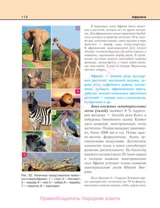 112 Африка
В природных зонах Африки много живот-
ных и растений, которых нет на других матери-
ках. Для африканских саванн характерен баобаб,
ствол которого в диаметре достигает 10 м, паль-
ма дум, зонтичная акация, самое высокое в мире
животное — жираф, львы, птица-секретарь.
В африканском экваториальном лесу (гилее)
обитают человекообразные обезьяны горилла и
шимпанзе, карликовый жираф окапи. В тропи-
ческих пустынях водится одногорбый верблюд
дромадер, лисица-фенек, а также самая ядови-
тая змея мамба. Только на острове Мадагаскар
обитают лемуры.
Африка — родина ряда культур-
ных растений: масличной пальмы, де-
рева кола, кофейного дерева, клеще-
вины, кунжута, африканского проса,
арбузов, многих комнатных цветочных
растений — герани, алоэ, гладиолусов,
пеларгонии и др.
Зона влажных экваториальных
лесов (гилей) занимает 8 % террито-
рии материка — бассейн реки Конго и
побережье Гвинейского залива. Климат
здесь влажный, экваториальный, тепла
достаточно. Осадки выпадают равномер-
но, более 2000 мм в год. Почвы крас-
но-желтые ферраллитные, бедны ор-
ганическими веществами. Достаточное
количество тепла и влаги способствует
развитию растительности. По богатству
видового состава (около 25 тысяч видов)
и площади влажные экваториальные
леса Африки уступают только влажным
экваториальным лесам Южной Аме-
рики.
Леса образуют 4—5 ярусов. В верхних яру-
сах произрастают гигантские (до 70 м) фикусы,
масличная и винная пальмы, сейба, дерево кола,
Рис. 52. Типичные представители живот-
ного мира Африки: 1 — слон; 2 — бегемот;
3—жираф;4—лев;5—зебра;6—марабу;
7 — горилла; 8 — крокодил
Правообладатель Народная асвета
Народная
асвета
 
