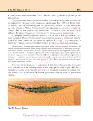 115
малым количеством осадков (не более 100 мм в год), скудной ксерофитной расти-
тельностью.
Полупустыни являются переходной областью между саваннами и тропически-
ми пустынями, где количество осадков не превышает 250—300 мм. Узкая поло-
са полупустынь в Северной Африке кустарничково-злаковая (акации, тамариски,
жесткие злаки). В Южной Африке полупустыни развиты во внутренней части Ка-
лахари. Для южных полупустынь характерны суккуленты (алоэ, молочай, дикие
арбузы). Во время дождливого периода цветут ирисы, лилии, амариллисы.
В Северной Африке огромные площади с осадками до 100 мм занимает пус-
тыня Сахара, в Южной Африке узкой полосой вдоль западного побережья прости-
рается пустыня Намиб, на юге находится пустыня Калахари. По растительности
различают пустыни злаково-кустарничковые, кустарничковые и суккулентные.
Растительность Сахары представляют отдельные пучки злаков и колючие кустарники. Из
злаков распространены дикое просо, из кустарников и полукустарников — карликовый саксаул,
верблюжья колючка, акации, ююба, молочай, эфедра. На засоленных почвах растут солянки и по-
лынь. Вокруг шоттов — тамариски. Для южных пустынь характерны суккулентные растения, по
внешнему виду напоминающие камни. В пустыне Намиб распространено своеобразное реликтовое
растение — вельвичия величественная (растение-пень) — самое низкое дерево Земли (до 50 см
высотой с длинными мясистыми листьями длиной 8—9 м). Встречаются алоэ, молочай, дикие
арбузы, кустарниковые акации.
Типичные почвы пустынь — сероземы. В тех местах Сахары, где грунтовые
воды находятся близко от поверхности земли, образуются оазисы (рис. 54). Здесь
сосредоточена вся хозяйственная деятельность людей, выращивают виноград, гра-
нат, ячмень, просо, пшеницу. Основным растением оазисов является финиковая
пальма.
Рис. 54. Оазис в Сахаре
§ 30. Природные зоны
Правообладатель Народная асвета
Народная
асвета
 