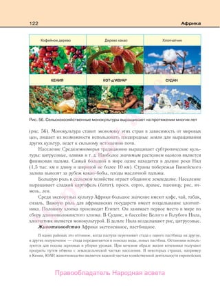 122 Африка
(рис. 56). Монокультура ставит экономику этих стран в зависимость от мировых
цен, лишает их возможности использовать плодородные земли для выращивания
других культур, ведет к сильному истощению почв.
Население Средиземноморья традиционно выращивает субтропические куль-
туры: цитрусовые, оливки и т. д. Наиболее значимым растением оазисов является
финиковая пальма. Самый большой в мире оазис находится в долине реки Нил
(1,5 тыс. км в длину и шириной не более 10 км). Страны побережья Гвинейского
залива вывозят за рубеж какао-бобы, плоды масличной пальмы.
Большую роль в сельском хозяйстве играет общинное земледелие. Население
выращивает сладкий картофель (батат), просо, сорго, арахис, пшеницу, рис, яч-
мень, лен.
Среди экспортных культур Африки большое значение имеют кофе, чай, табак,
сизаль. Важную роль для африканских государств имеет возделывание хлопчат-
ника. Половину хлопка производит Египет. Он занимает первое место в мире по
сбору длинноволокнистого хлопка. В Судане, в бассейне Белого и Голубого Нила,
хлопчатник является монокультурой. В дельте Нила возделывают рис, цитрусовые.
Животноводство Африки экстенсивное, пастбищное.
В одних районах это отгонное, когда пастухи перегоняют стада с одного пастбища на другое,
в других полукочевое — стада передвигаются в поисках воды, новых пастбищ. Остановки исполь-
зуются для посева зерновых и уборки урожая. При кочевом образе жизни кочевники получают
продукты путем обмена с земледельческой частью населения. В некоторых странах, например
в Кении, ЮАР, животноводство является важной частью хозяйственной деятельности европейских
Рис. 56. Сельскохозяйственные монокультуры выращивают на протяжении многих лет
Правообладатель Народная асвета
Народная
асвета
 