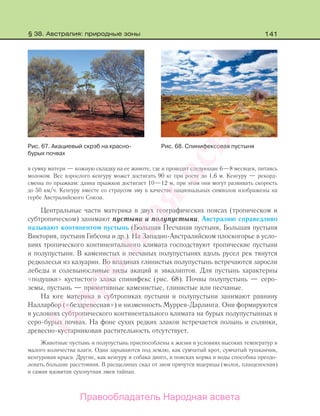 141
в сумку матери — кожную складку на ее животе, где и проводят следующие 6—8 месяцев, питаясь
молоком. Вес взрослого кенгуру может достигать 90 кг при росте до 1,6 м. Кенгуру — рекорд-
смены по прыжкам: длина прыжков достигает 10—12 м, при этом они могут развивать скорость
до 50 км/ч. Кенгуру вместе со страусом эму в качестве национальных символов изображены на
гербе Австралийского Союза.
Центральные части материка в двух географических поясах (тропическом и
субтропическом) занимают пустыни и полупустыни. Австралию справедливо
называют континентом пустынь (Большая Песчаная пустыня, Большая пустыня
Виктория, пустыня Гибсона и др.). На Западно-Австралийском плоскогорье в усло-
виях тропического континентального климата господствуют тропические пустыни
и полупустыни. В каменистых и песчаных полупустынях вдоль русел рек тянутся
редколесья из казуарин. Во впадинах глинистых полупустынь встречаются заросли
лебеды и солевыносливые виды акаций и эвкалиптов. Для пустынь характерны
«подушки» кустистого злака спинифекс (рис. 68). Почвы полупустынь — серо-
земы, пустынь — примитивные каменистые, глинистые или песчаные.
На юге материка в субтропиках пустыни и полупустыни занимают равнину
Налларбор («бездревесная») и низменность Муррея-Дарлинга. Они формируются
в условиях субтропического континентального климата на бурых полупустынных и
серо-бурых почвах. На фоне сухих редких злаков встречается полынь и солянки,
древесно-кустарниковая растительность отсутствует.
Животные пустынь и полупустынь приспособлены к жизни в условиях высоких температур и
малого количества влаги. Одни зарываются под землю, как сумчатый крот, сумчатый тушканчик,
кенгуровая крыса. Другие, как кенгуру и собака динго, в поисках корма и воды способны преодо-
левать большие расстояния. В расщелинах скал от зноя прячутся ящерицы (молох, плащеносная)
и самая ядовитая сухопутная змея тайпан.
Рис. 67. Акациевый скрэб на красно-
бурых почвах
Рис. 68. Спинифексовая пустыня
§ 38. Австралия: природные зоны
Правообладатель Народная асвета
Народная
асвета
 