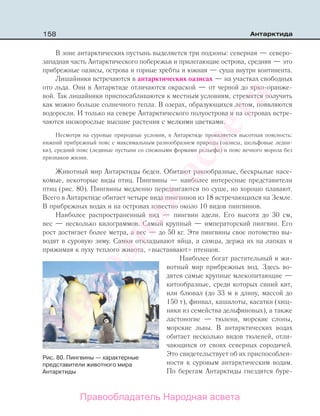 158 Антарктида
В зоне антарктических пустынь выделяется три подзоны: северная — северо-
западная часть Антарктического побережья и прилегающие острова, средняя — это
прибрежные оазисы, острова и горные хребты и южная — суша внутри континента.
Лишайники встречаются в антарктических оазисах — на участках свободных
ото льда. Они в Антарктиде отличаются окраской — от черной до ярко-оранже-
вой. Так лишайники приспосабливаются к местным условиям, стремятся получить
как можно больше солнечного тепла. В озерах, образующихся летом, появляются
водоросли. И только на севере Антарктического полуострова и на островах встре-
чаются низкорослые высшие растения с мелкими цветками.
Несмотря на суровые природные условия, в Антарктиде проявляется высотная поясность:
нижний прибрежный пояс с максимальным разнообразием природы (оазисы, шельфовые ледни-
ки), средний пояс (ледяные пустыни со снежными формами рельефа) и пояс вечного мороза без
признаков жизни.
Животный мир Антарктиды беден. Обитают ракообразные, бескрылые насе-
комые, некоторые виды птиц. Пингвины — наиболее интересные представители
птиц (рис. 80). Пингвины медленно передвигаются по суше, но хорошо плавают.
Всего в Антарктиде обитает четыре вида пингвинов из 18 встречающихся на Земле.
В прибрежных водах и на островах известно около 10 видов пингвинов.
Наиболее распространенный вид — пингвин адели. Его высота до 30 см,
вес — несколько килограммов. Самый крупный — императорский пингвин. Его
рост достигает более метра, а вес — до 50 кг. Эти пингвины свое потомство вы-
водят в суровую зиму. Самки откладывают яйца, а самцы, держа их на лапках и
прижимая к пуху теплого живота, «выстаивают» птенцов.
Наиболее богат растительный и жи-
вотный мир прибрежных вод. Здесь во-
дятся самые крупные млекопитающие —
китообразные, среди которых синий кит,
или блювал (до 33 м в длину, массой до
150 т), финвал, кашалоты, касатки (хищ-
ники из семейства дельфиновых), а также
ластоногие — тюлени, морские слоны,
морские львы. В антарктических водах
обитает несколько видов тюленей, отли-
чающихся от своих северных сородичей.
Это свидетельствует об их приспособлен-
ности к суровым антарктическим водам.
По берегам Антарктиды гнездятся буре-
Рис. 80. Пингвины — характерные
представители животного мира
Антарктиды
Правообладатель Народная асвета
Народная
асвета
 