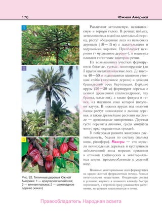 176 Южная Америка
Различают затопляемую, незатопля-
емую и горную гилею. В речных поймах,
затапливаемых водой на длительный пери-
од, растут обедненные леса из невысоких
деревьев (10—15 м) с дыхательными и
ходульными корнями. Преобладает цек-
ропия («муравьиное дерево»), в водоемах
плавают гигантские виктории-регии.
На возвышенных участках формиру-
ются богатые, густые, многоярусные (до
5 ярусов) незатапливаемые леса. До высо-
ты 40—50 м поднимаются одиночно стоя-
щие сейба (хлопковое дерево) и дающая
бразильский орех бертолеция. Верхние
ярусы (20—30 м) формируют деревья с
ценной древесиной (палисандровое, пау
бразил, махагони), а также фикусы и ге-
вея, из млечного сока которой получа-
ют каучук. В нижних ярусах под пологом
пальм растут шоколадное и дынное дере-
вья, а также древнейшие растения на Зем-
ле — древовидные папоротники. Деревья
густо перевиты лианами, среди эпифитов
много ярко окрашенных орхидей.
У побережья развита мангровая рас-
тительность, бедная по составу (пальма
нипа, ризофора). Мангры — это зарос-
ли вечнозеленых деревьев и кустарников
заболоченной зоны морских приливов
и отливов тропических и экваториаль-
ных широт, приспособленные к соленой
воде.
Влажные экваториальные леса формируются
на красно-желтых ферраллитных почвах, бедных
питательными веществами. Опадающая листва
в условиях жаркого и влажного климата быстро
перегнивает, и перегной сразу усваивается расте-
ниями, не успевая накапливаться в почве.
Рис. 92. Типичные деревья Южной
Америки: 1 — араукария чилийская;
2 — винная пальма; 3 — шоколадное
дерево (какао)
Правообладатель Народная асвета
Народная
асвета
 