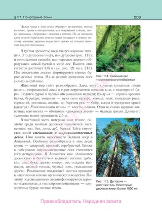 209
Целые чащи в этих лесах образуют кустарники, иногда
колючие, травы и папоротники; мхи покрывают стволы, поч-
ву, длинными «бородами» свисают с ветвей. Из-за плотного
слоя лесной подстилки семена редко попадают в землю, по-
этому молодые деревья вырастают прямо на стволах гнию-
щих предшественников.
В густом древостое выделяются мировые гига-
нты. Это дугласова пихта, или дугласия (рис. 115),
и вечнозеленая секвойя, или «красное дерево», об-
разующая самый густой в мире лес. Высота этих
гигантов достигает 115 м (см. рис. 121 на с. 213).
Под дождевыми лесами формируются горные бу-
рые лесные почвы. Из-за ценной древесины леса
сильно вырублены.
Животный мир тайги разнообразен. Здесь много крупных копытных: олень
вапити, американский лось; в горах встречаются снежная коза и толсторогий ба-
ран. Водятся бурый и черный американский медведи; грызуны — серая и красная
белка, бурундук; хищники — пума (или кугуар), куница, волк, канадская рысь,
горностай, росомаха, лисица; по берегам рек — бобр, выдра и мускусная крыса
(ондатра). Многочисленны птицы — клесты, славки. Один из самых крупных жи-
вотных континента — обитатель «дождевых лесов» — медведь гризли. Длина его
туловища может превышать 2,5 м.
В восточной части материка зима теплее, по-
этому среди хвойных деревьев появляются лист-
венные: вяз, бук, липа, дуб, береза. Тайга сменя-
ется зоной смешанных и широколиственных
лесов. Ими заняты окрестности Великих озер и
Аппалачей. Особенно разнообразны в этих лесах
клены — сахарный, красный, серебристый. Ближе
к побережью широколиственные леса становятся
господствующими. В Аппалачах они отличаются
древностью и богатством видового состава: дубы,
каштаны, буки, дерево гикори, листопадная маг-
нолия, желтый тополь, черный орех, тюльпанное
дерево. Разложение опадающей листвы приводит
к накоплению в почве органического вещества. По-
этому под смешанными лесами формируются дерно-
во-подзолистые, а под широколиственными — пло-
дородные бурые лесные почвы.
Рис. 114. Хвойный лес
тихоокеанского побережья
Рис. 115. Дугласия —
долгожитель. Некоторые
деревья живут более 1000 лет
§ 57. Природные зоны
Правообладатель Народная асвета
Народная
асвета
 