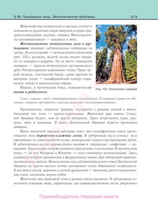 213
Животный мир полупустынь и пустынь состоит в
основном из различных видов живущих в норах гры-
зунов (землеройки, суслики, хомяки). Многочислен-
ны пресмыкающиеся — ящерицы и змеи.
Жестколистные вечнозеленые леса и кус-
тарники занимают субтропическое побережье на
западе. Леса из секвойи — вечнозеленой и гигантской
(рис. 121), дугласии, желтой сосны сильно страда-
ют от пожаров и вырубок. На их месте появляется
чапараль — заросли вечнозеленого кустарникового
дуба. Распространены коричневые почвы. Пума, бу-
рый медведь, толсторогий баран, самая крупная на
материке птица — калифорнийский кондор сохра-
нились только в национальных парках.
Южнее, в тропическом поясе, появляются са-
ванны и редколесья.
Слово «саванна» имеет североамериканское происхождение. В индейских языках оно обо-
значало «открытое пространство, поросшее деревьями; высокотравная равнина».
Пространства, покрытые травами, чередуются с рощами акаций и мимоз.
Основной тип почв — красно-коричневые. Животный мир саванн Север-
ной Америки беднее, чем на других материках. Здесь встречаются пума, гры-
зуны, змеи и ящерицы. В реках Центральной Америки водятся крокодилы
кайманы.
Вдоль восточной окраины материка через три географических пояса протя-
гивается зона переменно-влажных лесов. В субтропиках муссонные леса
смешанные: из длиннохвойной сосны, низкорослых пальм и кустарниковых дубов.
В заболоченных местах деревья увиты лианами и «украшены» эпифитами — ор-
хидеями. Зональными почвами являются красноземы и желтоземы. В тропическом
поясе — на юге Флориды и Юкатане — леса становятся вечнозелеными. Здесь
развиваются бурые тропические и ферраллитные почвы. Для побережий характер-
ны мангровые заросли. Вечнозеленые леса субэкваториального пояса Центральной
Америки на красно-желтых почвах напоминают гилеи Амазонской низменности.
В них много пальм, деревьев с ценной древесиной — махагони, растет каучуконос-
ная гевея, хлопковое дерево сейба.
Животный мир природной зоны в разных поясах различен. В субтропиках со-
четаются северные виды, характерные для широколиственных лесов умеренного
Рис. 121. Гигантская секвойя
§ 58. Природные зоны. Экологические проблемы
Правообладатель Народная асвета
Народная
асвета
 