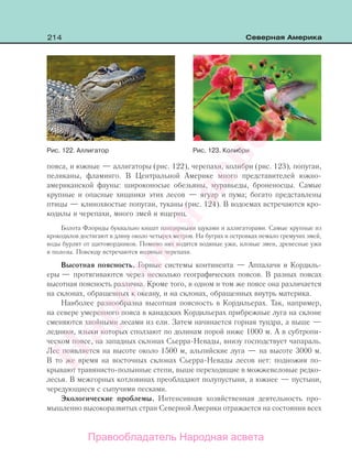 214 Северная Америка
пояса, и южные — аллигаторы (рис. 122), черепахи, колибри (рис. 123), попугаи,
пеликаны, фламинго. В Центральной Америке много представителей южно-
американской фауны: широконосые обезьяны, муравьеды, броненосцы. Самые
крупные и опасные хищники этих лесов — ягуар и пума; богато представлены
птицы — клинохвостые попугаи, туканы (рис. 124). В водоемах встречаются кро-
кодилы и черепахи, много змей и ящериц.
Болота Флориды буквально кишат панцирными щуками и аллигаторами. Самые крупные из
крокодилов достигают в длину около четырех метров. На буграх и островках немало гремучих змей,
воды бурлят от щитомордников. Помимо них водятся водяные ужи, иловые змеи, древесные ужи
и полозы. Повсюду встречаются водяные черепахи.
Высотная поясность. Горные системы континента — Аппалачи и Кордиль-
еры — протягиваются через несколько географических поясов. В разных поясах
высотная поясность различна. Кроме того, в одном и том же поясе она различается
на склонах, обращенных к океану, и на склонах, обращенных внутрь материка.
Наиболее разнообразна высотная поясность в Кордильерах. Так, например,
на севере умеренного пояса в канадских Кордильерах прибрежные луга на склоне
сменяются хвойными лесами из ели. Затем начинается горная тундра, а выше —
ледники, языки которых сползают по долинам порой ниже 1000 м. А в субтропи-
ческом поясе, на западных склонах Сьерра-Невады, внизу господствует чапараль.
Лес появляется на высоте около 1500 м, альпийские луга — на высоте 3000 м.
В то же время на восточных склонах Сьерра-Невады лесов нет: подножия по-
крывают травянисто-полынные степи, выше переходящие в можжевеловые редко-
лесья. В межгорных котловинах преобладают полупустыни, а южнее — пустыни,
чередующиеся с сыпучими песками.
Экологические проблемы. Интенсивная хозяйственная деятельность про-
мышленно высокоразвитых стран Северной Америки отражается на состоянии всех
Рис. 122. Аллигатор Рис. 123. Колибри
Правообладатель Народная асвета
Народная
асвета
 