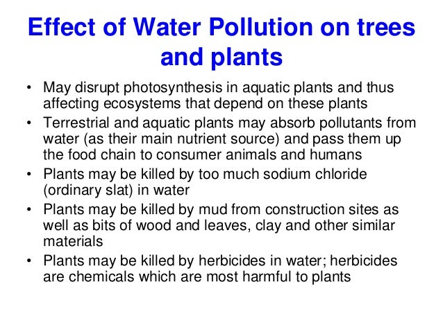 Effect of Water Pollution on trees
and plants
• May disrupt photosynthesis in aquatic plants and thus
affecting ecosystems that depend on these plants
• Terrestrial and aquatic plants may absorb pollutants from
water (as their main nutrient source) and pass them up
the food chain to consumer animals and humans
• Plants may be killed by too much sodium chloride
(ordinary slat) in water
• Plants may be killed by mud from construction sites as
well as bits of wood and leaves, clay and other similar
materials
• Plants may be killed by herbicides in water; herbicides
are chemicals which are most harmful to plants
 