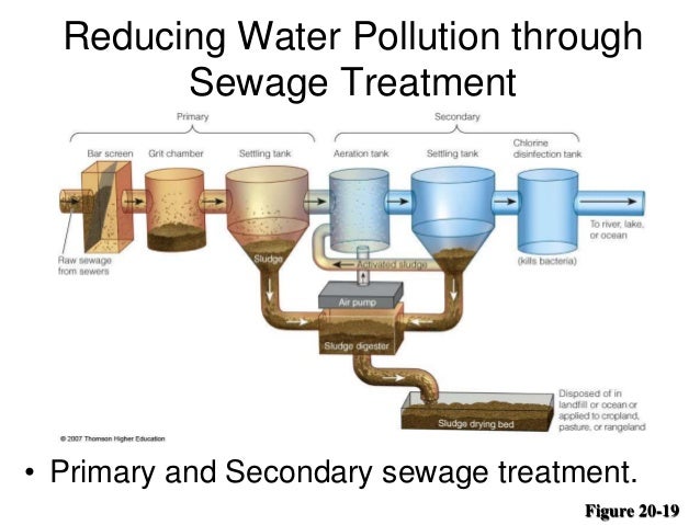 Reducing Water Pollution through
Sewage Treatment
• Primary and Secondary sewage treatment.
Figure 20-19
 