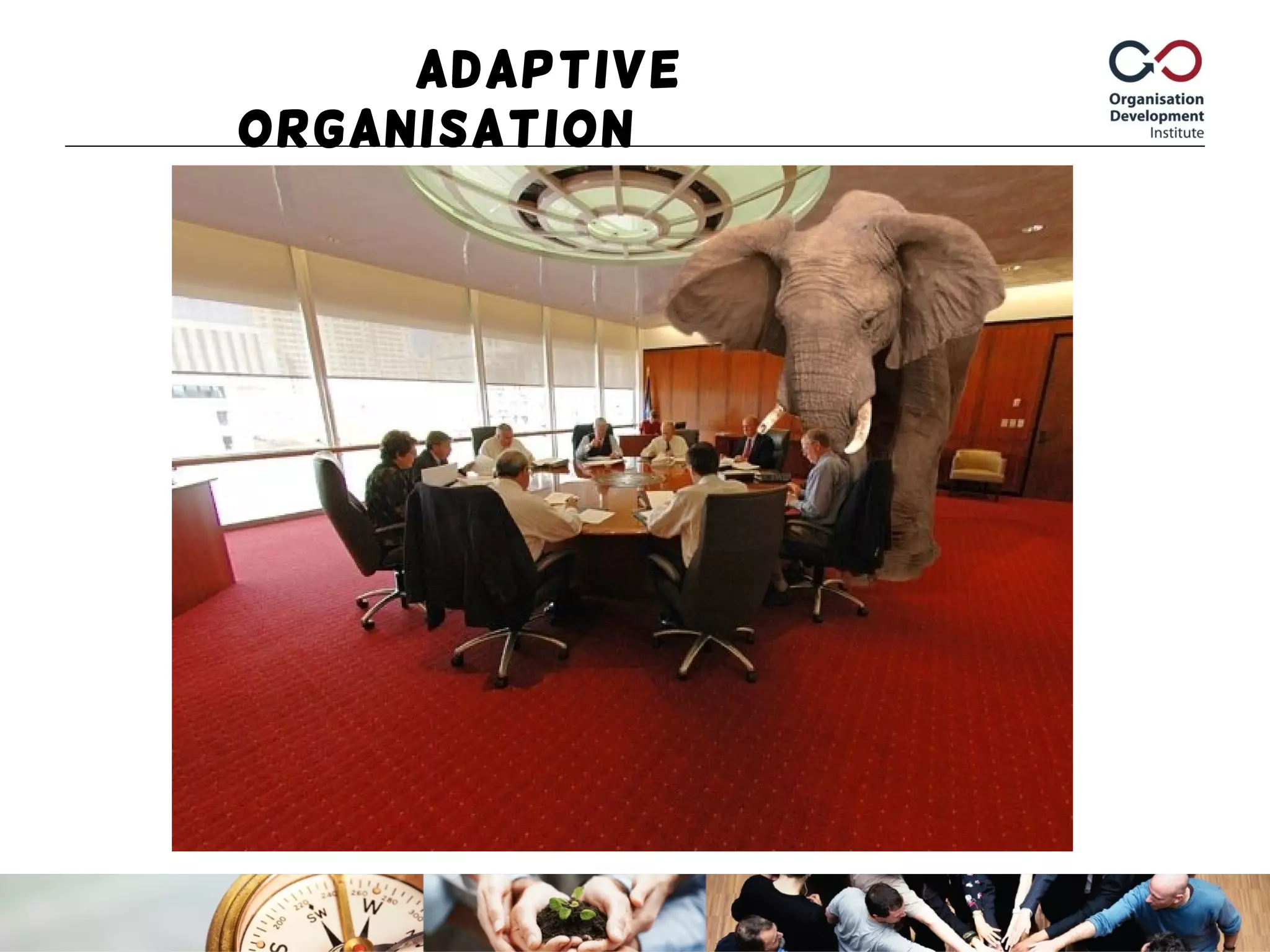 Adaptive
Organisation
 
